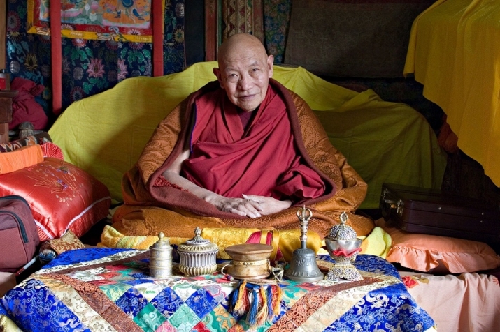 A Tribute To Kyabje Trulshik Rinpoche | Buddhistdoor