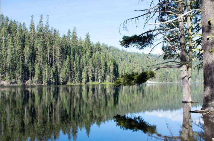 A lake near the author’s family cabin. Photo by Devon Fields