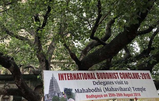 The Bodhi Tree at Maha Bodhi Temple, Bodh Gaya. Image courtesy of the author