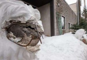 Vandalized lions outside of the Huyen Khong Buddhist Socio-Cultural Centre. From rcinet.ca