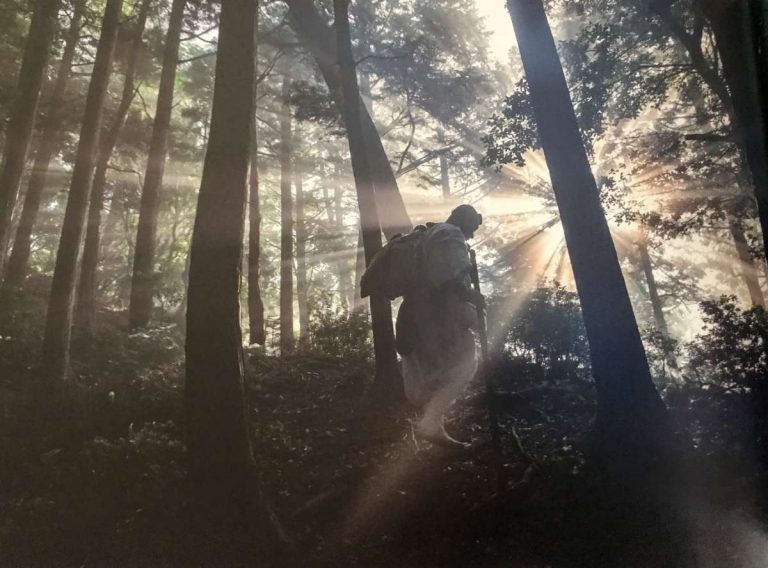 Into the light. Photo by Takeshi Mori