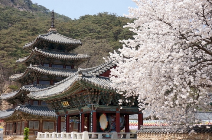 South Korea Seeks Unesco World Heritage Status For Seven